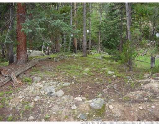 163 Lakeview Dr 4, Breckenridge, CO 80424