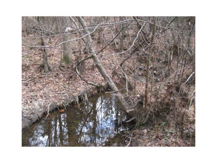 9501 W Banks Mill Road, Winston, GA 30187