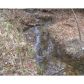 9501 W Banks Mill Road, Winston, GA 30187 ID:3952244