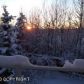 7773 Cherrywood Circle, Anchorage, AK 99507 ID:2456646