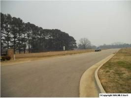 502 Fox Ridge Drive, Hartselle, AL 35640