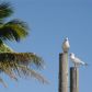 9284 Nastrand Circle, Port Charlotte, FL 33981 ID:3011191