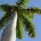 9284 Nastrand Circle, Port Charlotte, FL 33981 ID:3011200