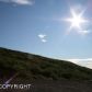L5 Snow Bear Drive, Anchorage, AK 99516 ID:1582372