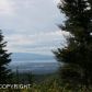 L5 Snow Bear Drive, Anchorage, AK 99516 ID:1582380