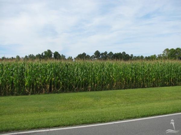 0 complex St, Tabor City, NC 28463