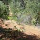 15806 Perimeter Road, Grass Valley, CA 95949 ID:1147313