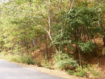 8/2 Baeza 17 Baeza Way, Hot Springs Village, AR 71909