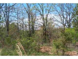 26 Fawn, Conway, AR 72032