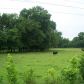 Unk Polk 67, Mena, AR 71953 ID:5420682