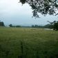 Unk Polk 67, Mena, AR 71953 ID:5420684