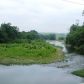 Unk Polk 67, Mena, AR 71953 ID:5420685