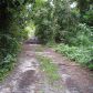 5700 SW 91 ST, Miami, FL 33156 ID:650135