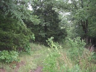 Unk Highway 88 East, Mena, AR 71953