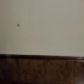 514 N Faulkner Way, Davidson, NC 28036 ID:2468340