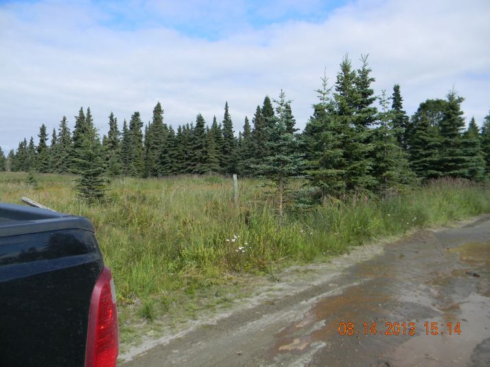 50495 Buoy Avenue, Kenai, AK 99611