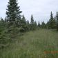 50495 Buoy Avenue, Kenai, AK 99611 ID:1171065