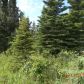 50495 Buoy Avenue, Kenai, AK 99611 ID:1171069