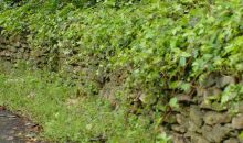 5211 Long Island Drive Nw Atlanta, GA 30327