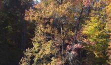 6 Quiet Waters Drive Dahlonega, GA 30533