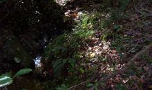 0 High Shoals Drive Dahlonega, GA 30533