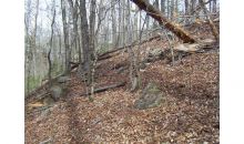 53 Shepherds Cove Dahlonega, GA 30533