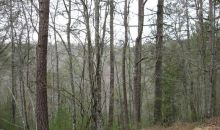 1336 Lyric Lane Ellijay, GA 30540