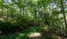 0 Talona Road Ellijay, GA 30540