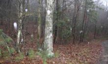 1560 Nexus Drive Ellijay, GA 30540