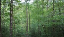 2 Abbott Mill Road Ellijay, GA 30540