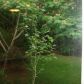 1112 Valley Forge, Dothan, AL 36301 ID:5429156