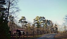 4183 Rattler Road Se Acworth, GA 30102