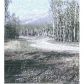 Mi 27 McCarthy Highway TRB B2, Chitina, AK 99566 ID:1109616