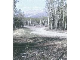 Mile 27 McCarthy Highway L6 B2, Chitina, AK 99566