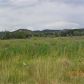1606/1610 York Avenue, Canon City, CO 81212 ID:1670429