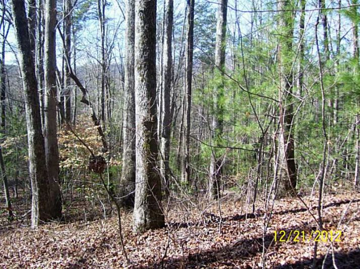 0 David Drive, Tiger, GA 30576