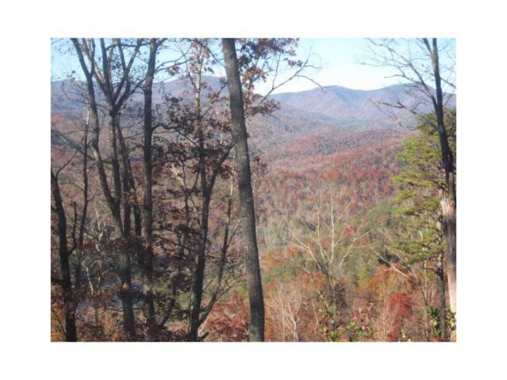 15 Winterberry Drive, Tiger, GA 30576