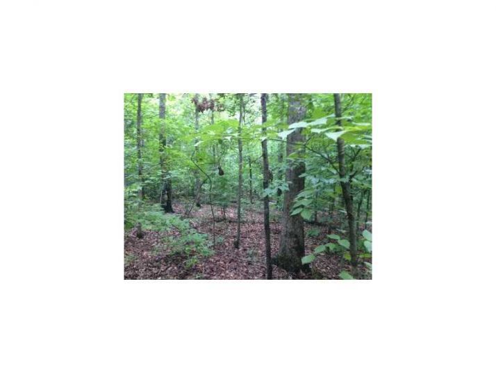 0 Kent Road, Roswell, GA 30075