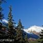 L4 Verbier Way, Girdwood, AK 99587 ID:5443623