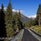 L4 Verbier Way, Girdwood, AK 99587 ID:5443628