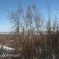 L23 B2 Homestead Road, Chugiak, AK 99567 ID:4304760