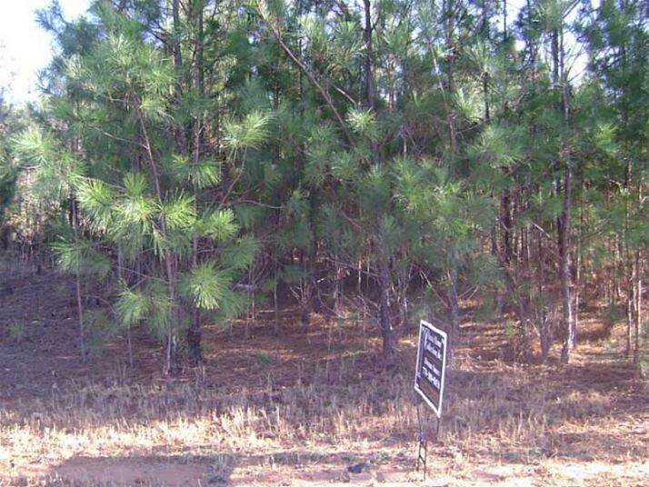 4195 Se Dorchester Drive, Covington, GA 30014