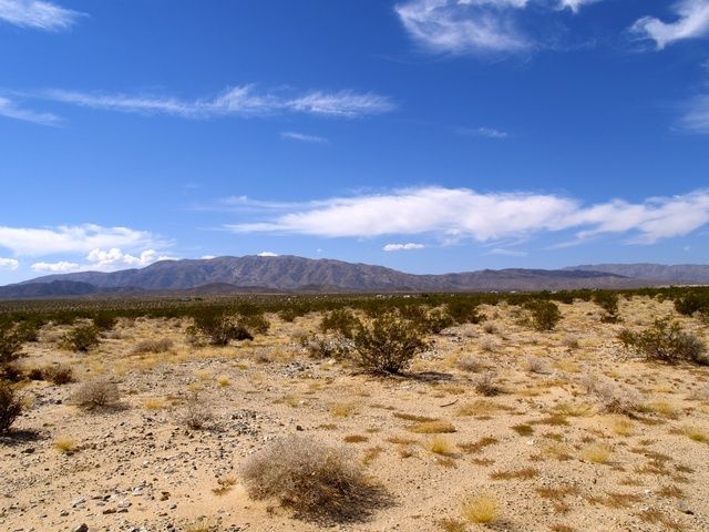 South Street, Twentynine Palms, CA 92277