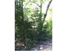 39 Deer Run, Eureka Springs, AR 72631