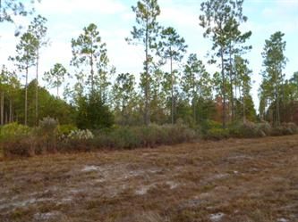 Land  Lot 86 Third L, Jesup, GA 31546