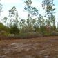 Land  Lot 86 Third L, Jesup, GA 31546 ID:713375