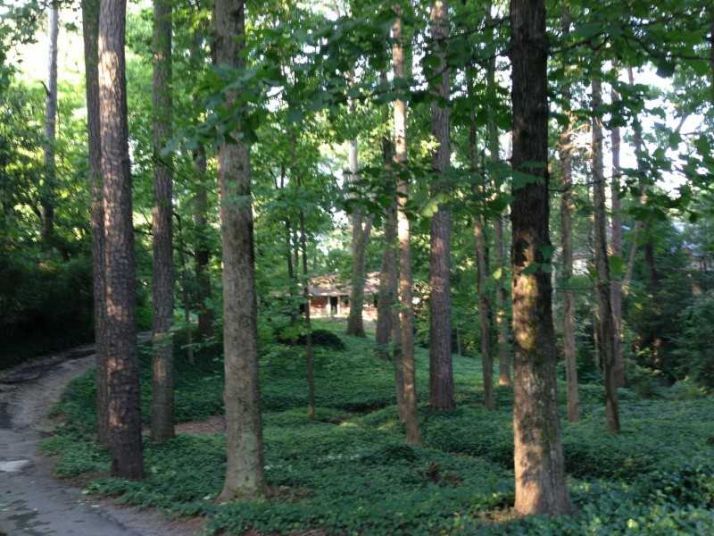 24 Blackland Road, Atlanta, GA 30342