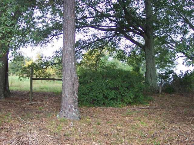 1843 Knight Circle, Loganville, GA 30052