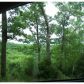3 Acres Mundell Rd., Eureka Springs, AR 72631 ID:1168090