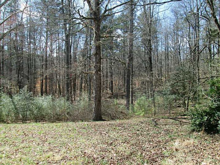 3894 Hamilton Mill Road, Buford, GA 30519